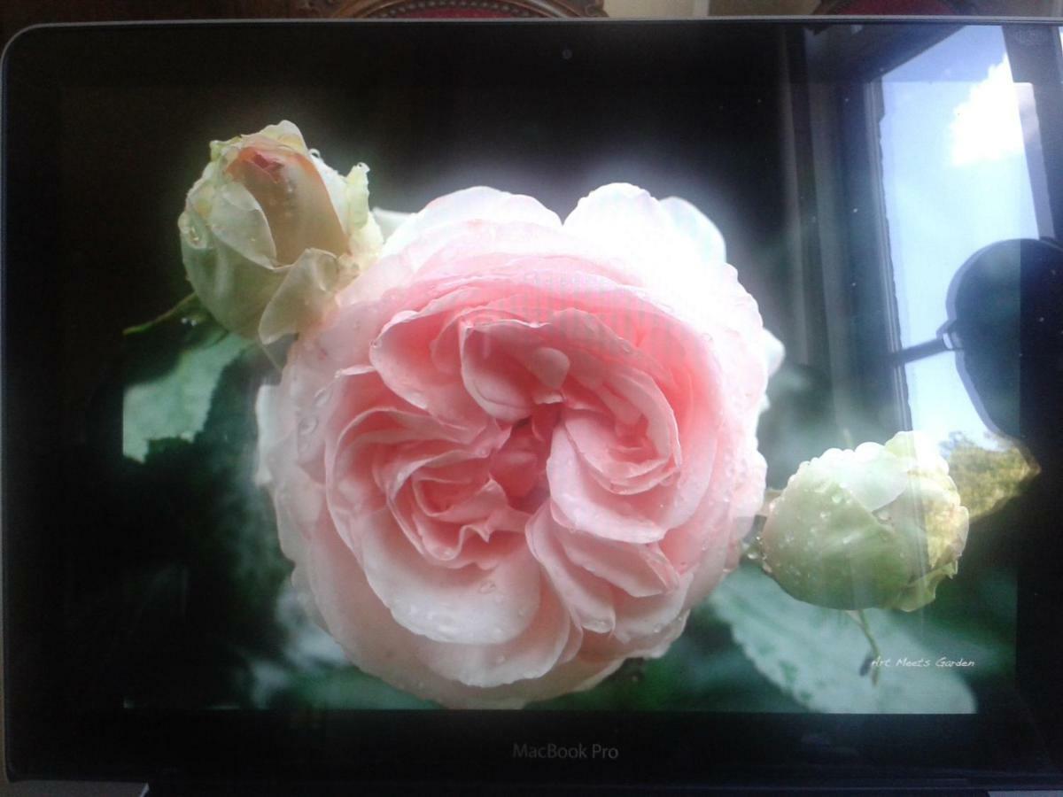 La Villa des Roses Durbuy Esterno foto