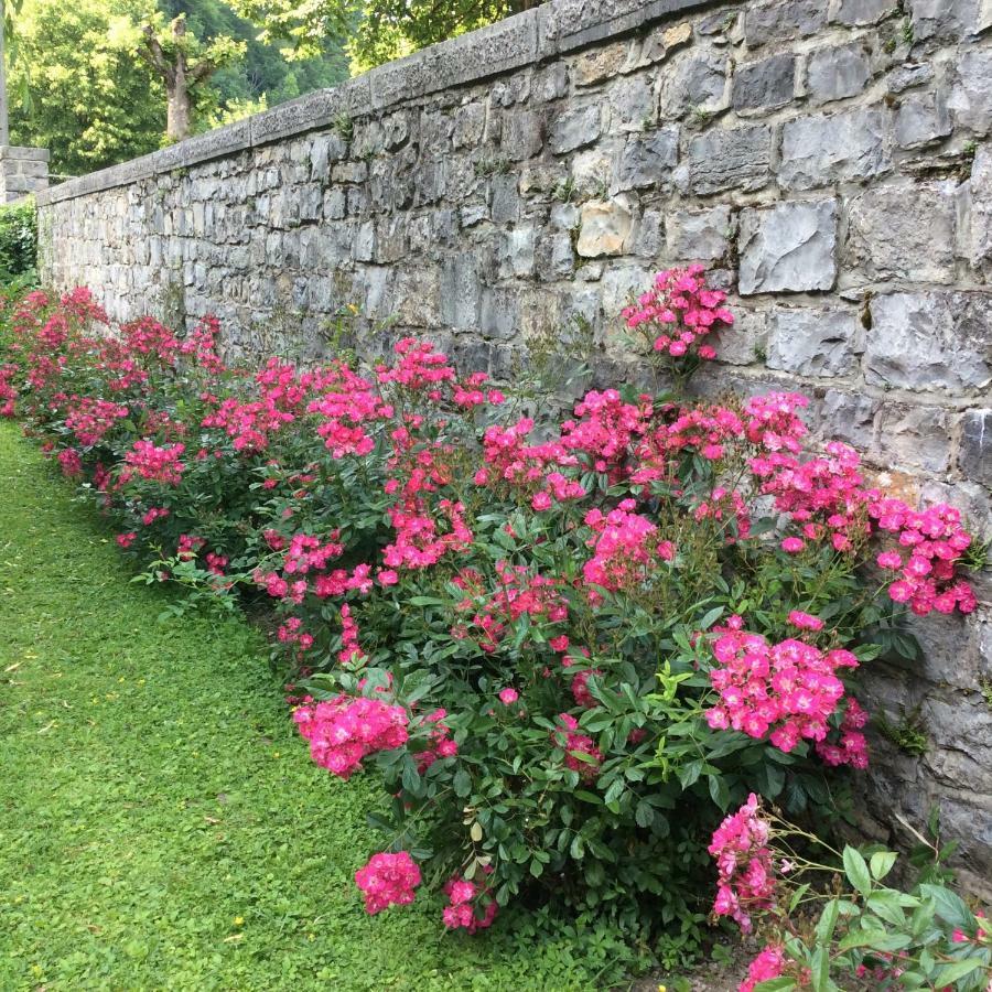 La Villa des Roses Durbuy Esterno foto