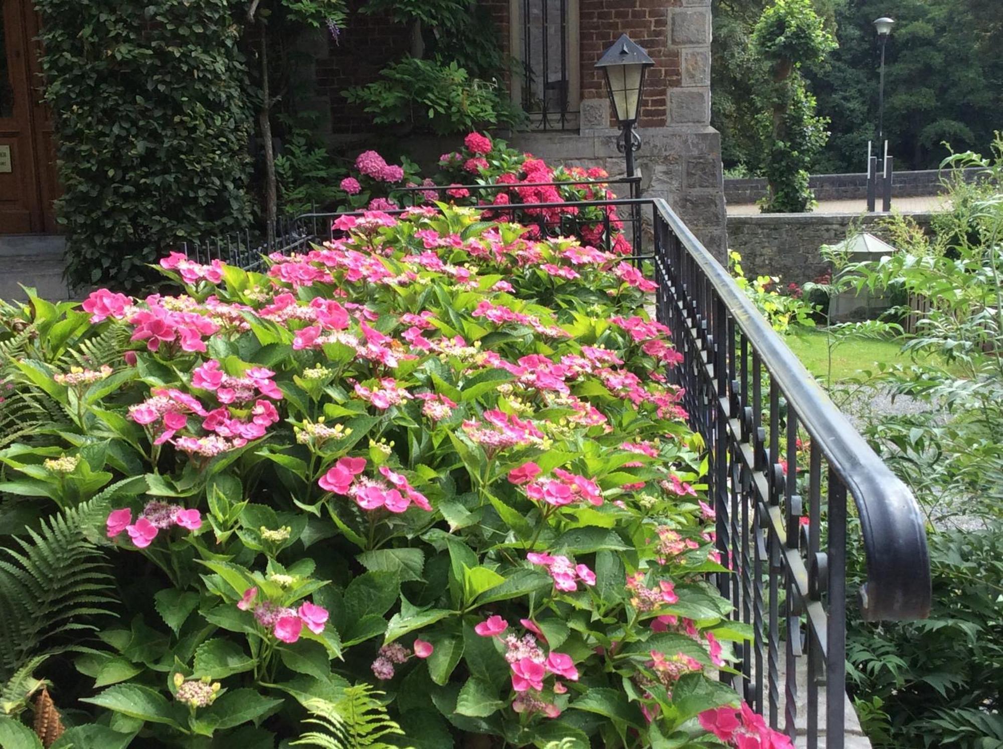 La Villa des Roses Durbuy Esterno foto